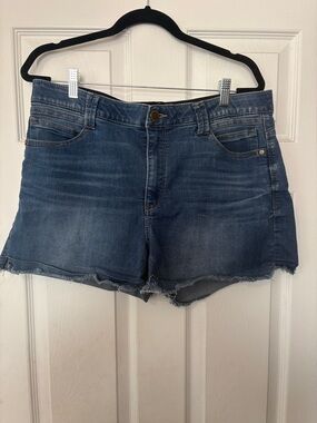 Democracy Ab Technology  Classic Blue Denim Women’s Shorts - Raw Hem Size 16
